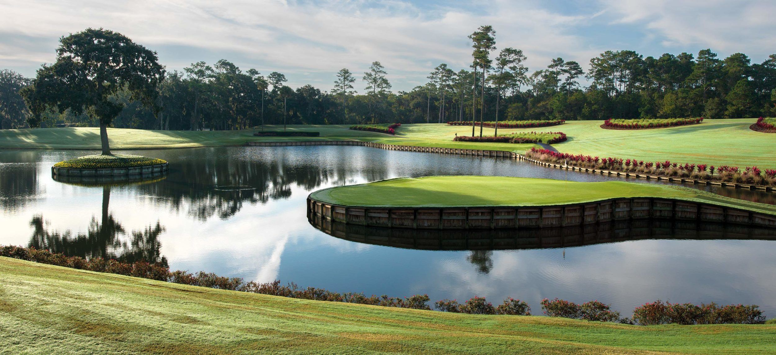 Par for Perfection package cover picture