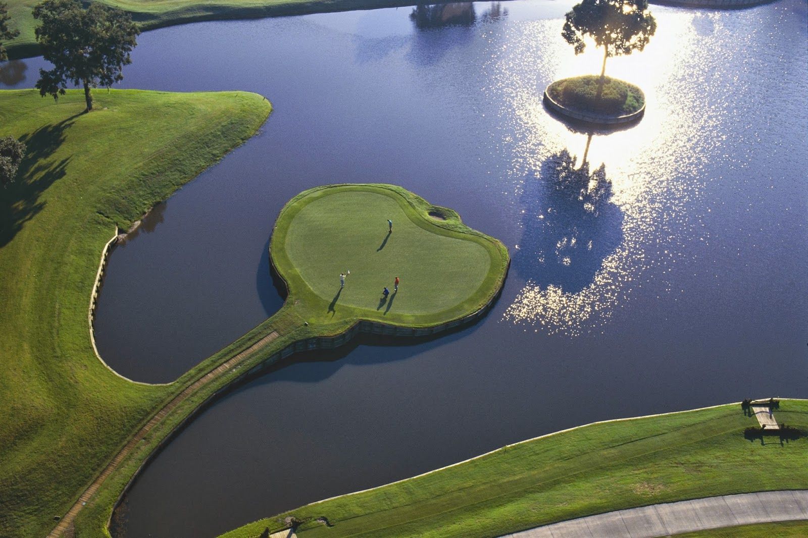 Par for Perfection package cover picture