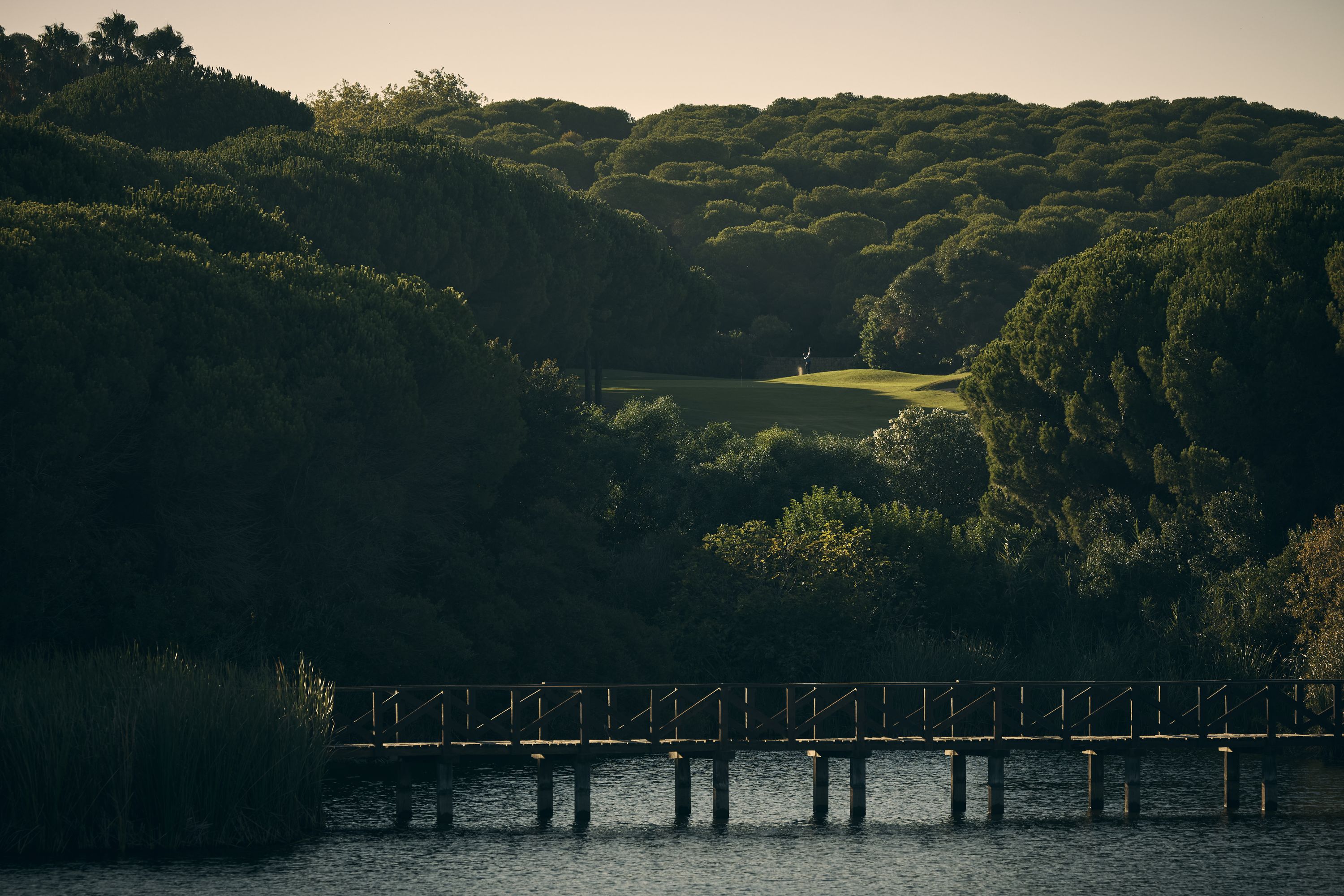 The Alto Golf Club cover picture