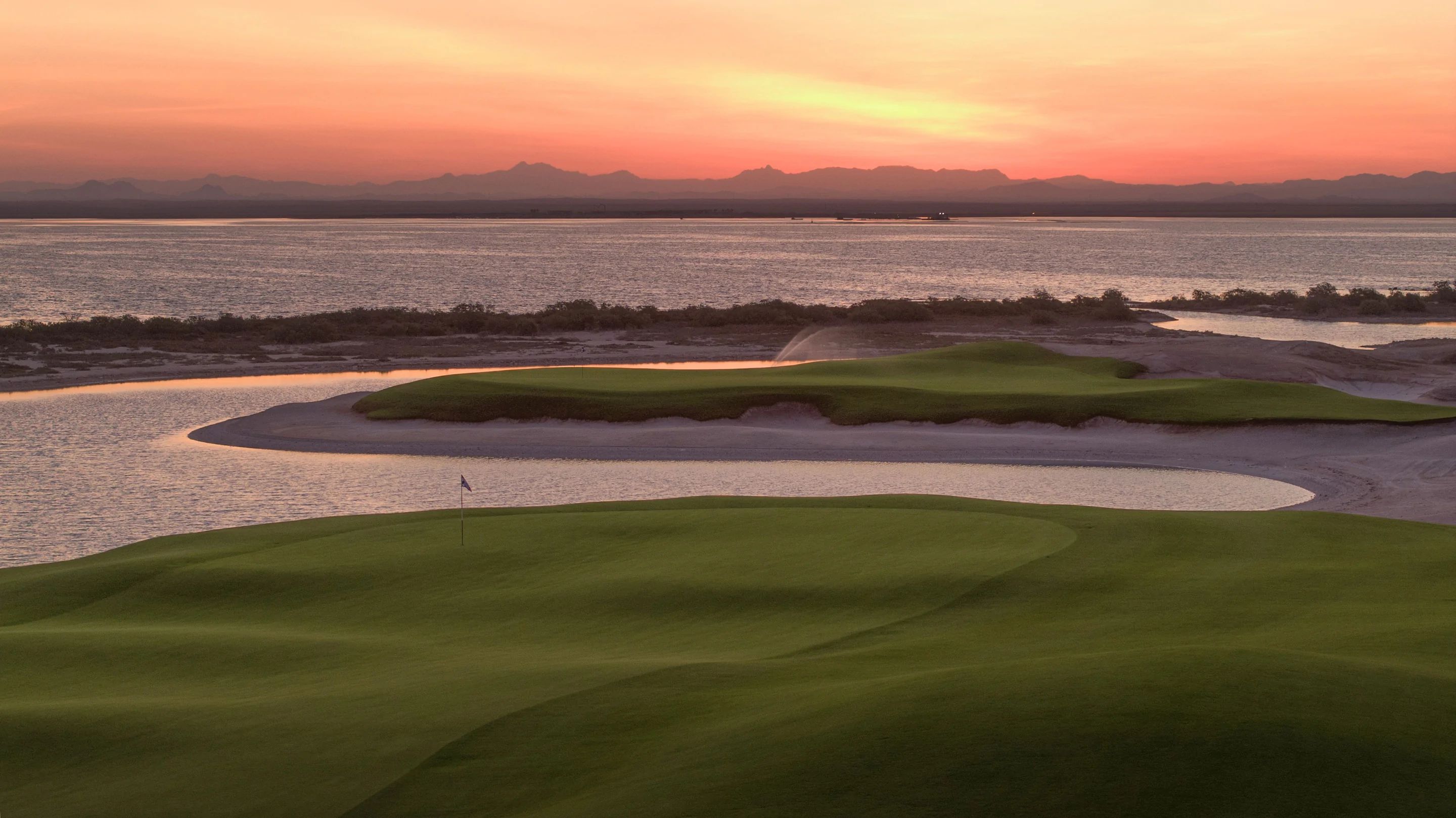 Shura Links cover picture