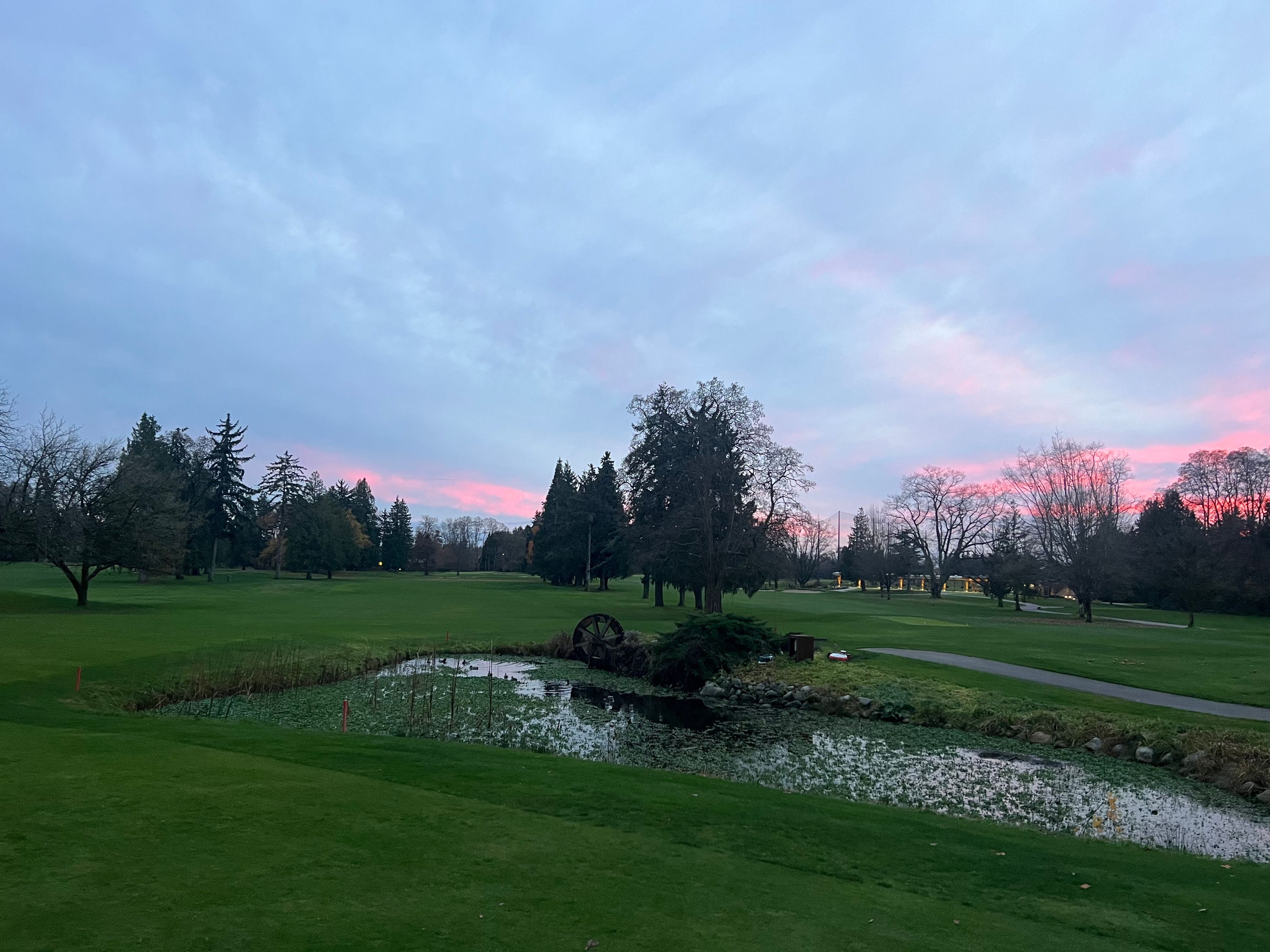 Monica Li Cover Picture