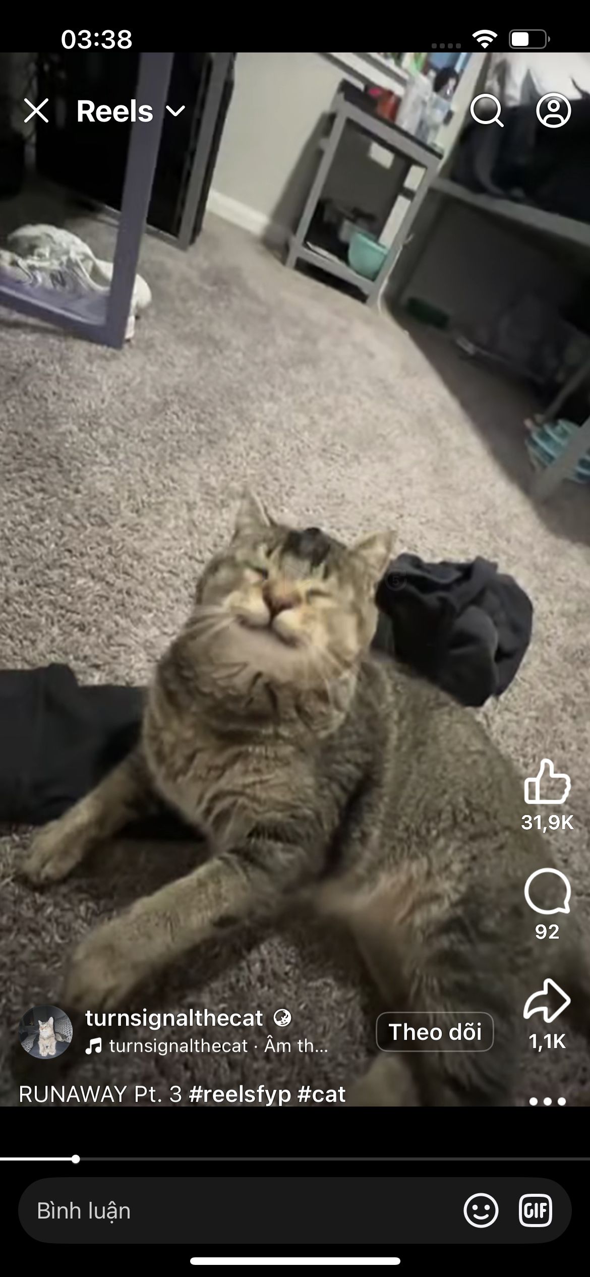 User Profile Picture