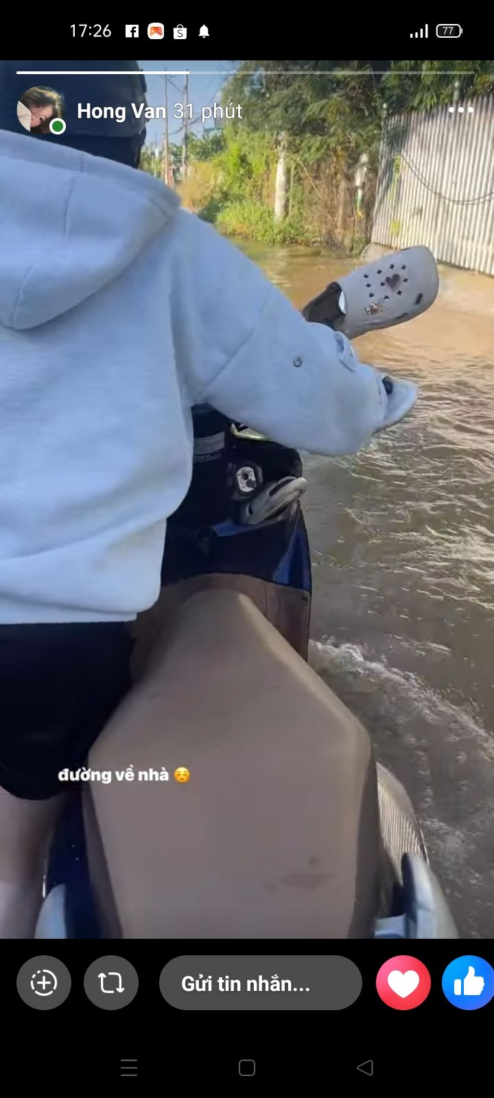 User Profile Picture