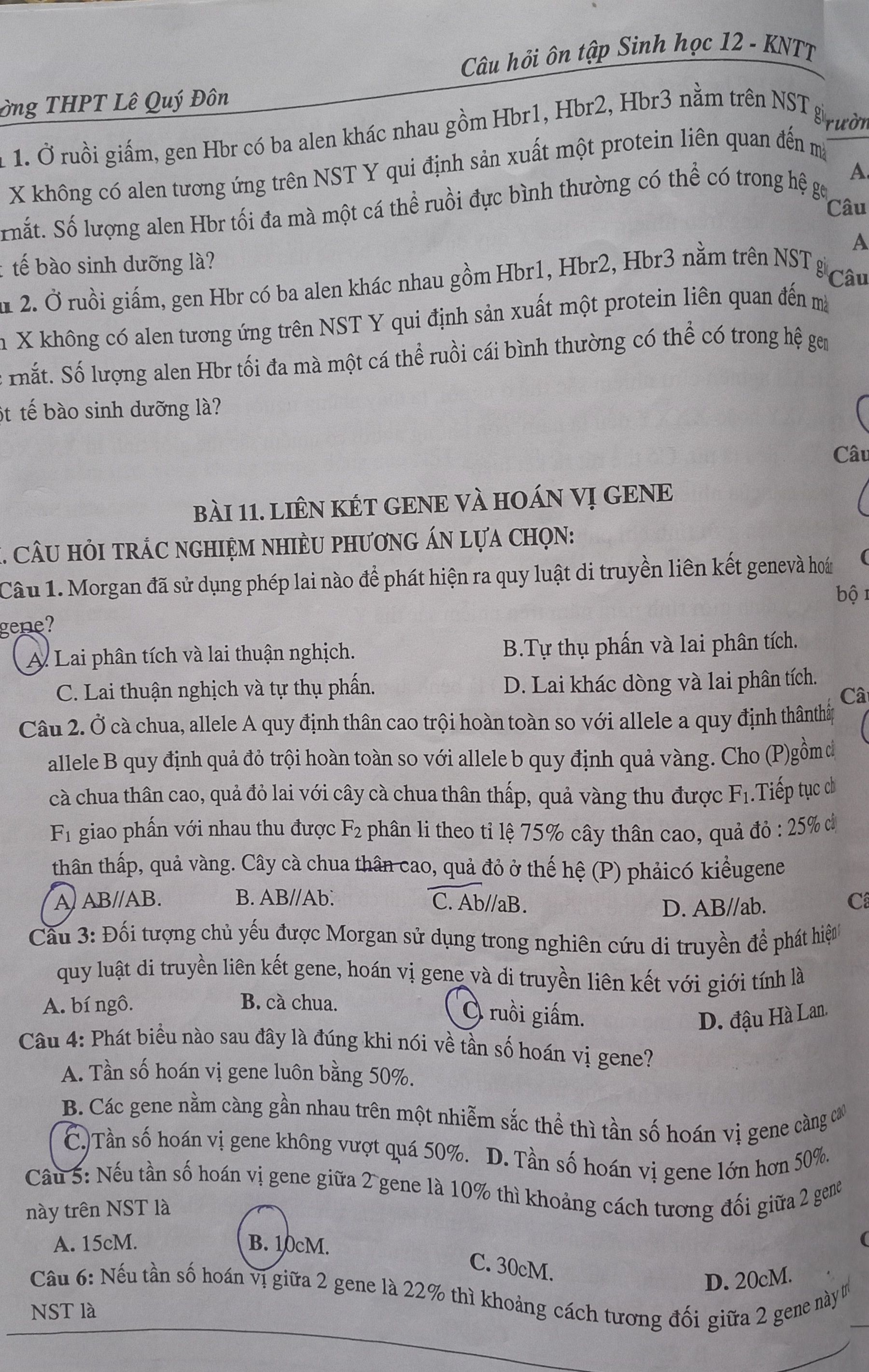 User Profile Picture