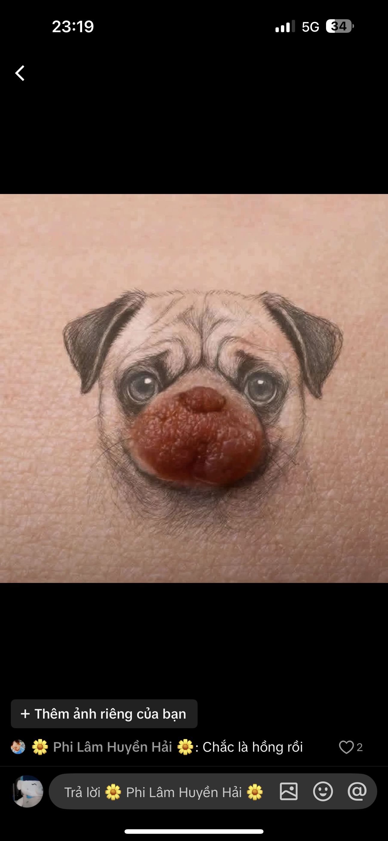 User Profile Picture