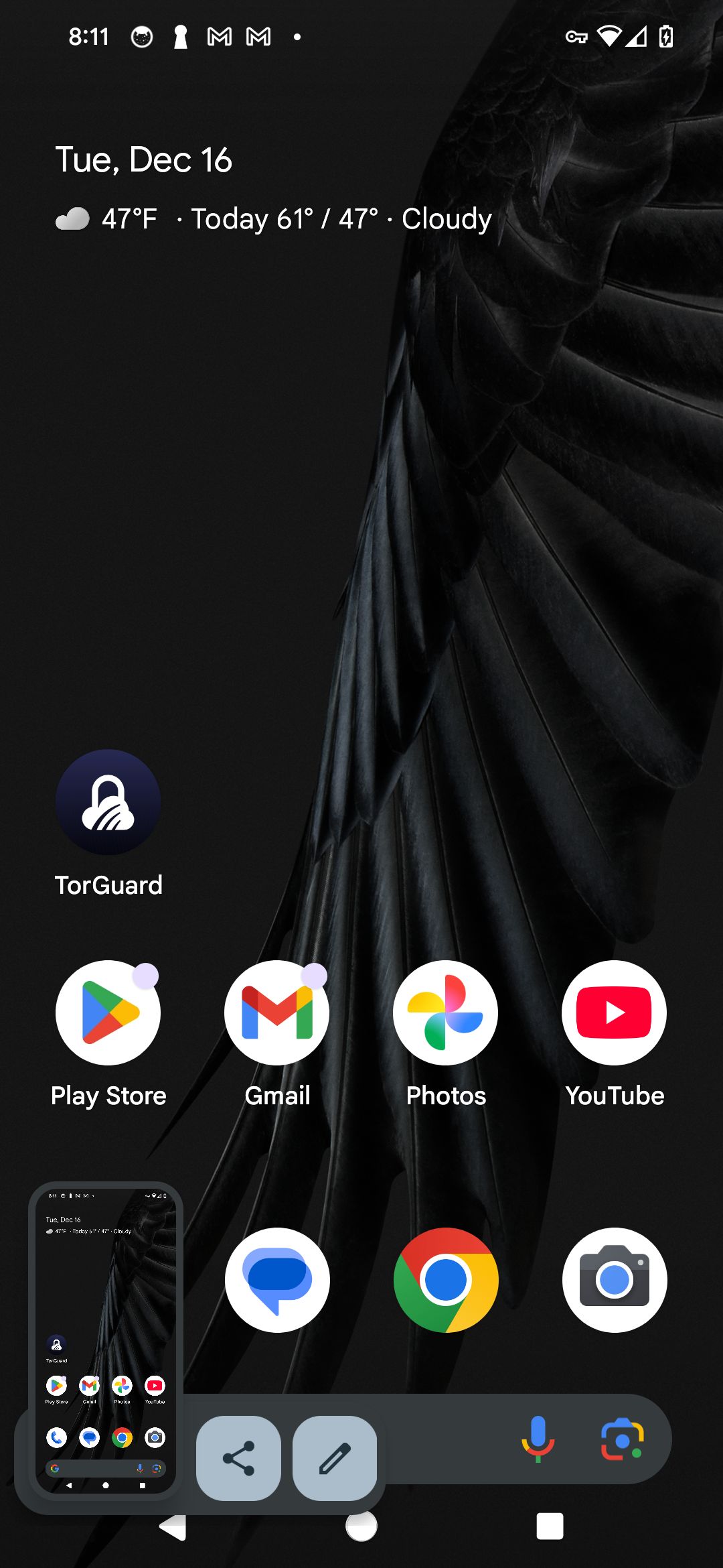 User Profile Picture