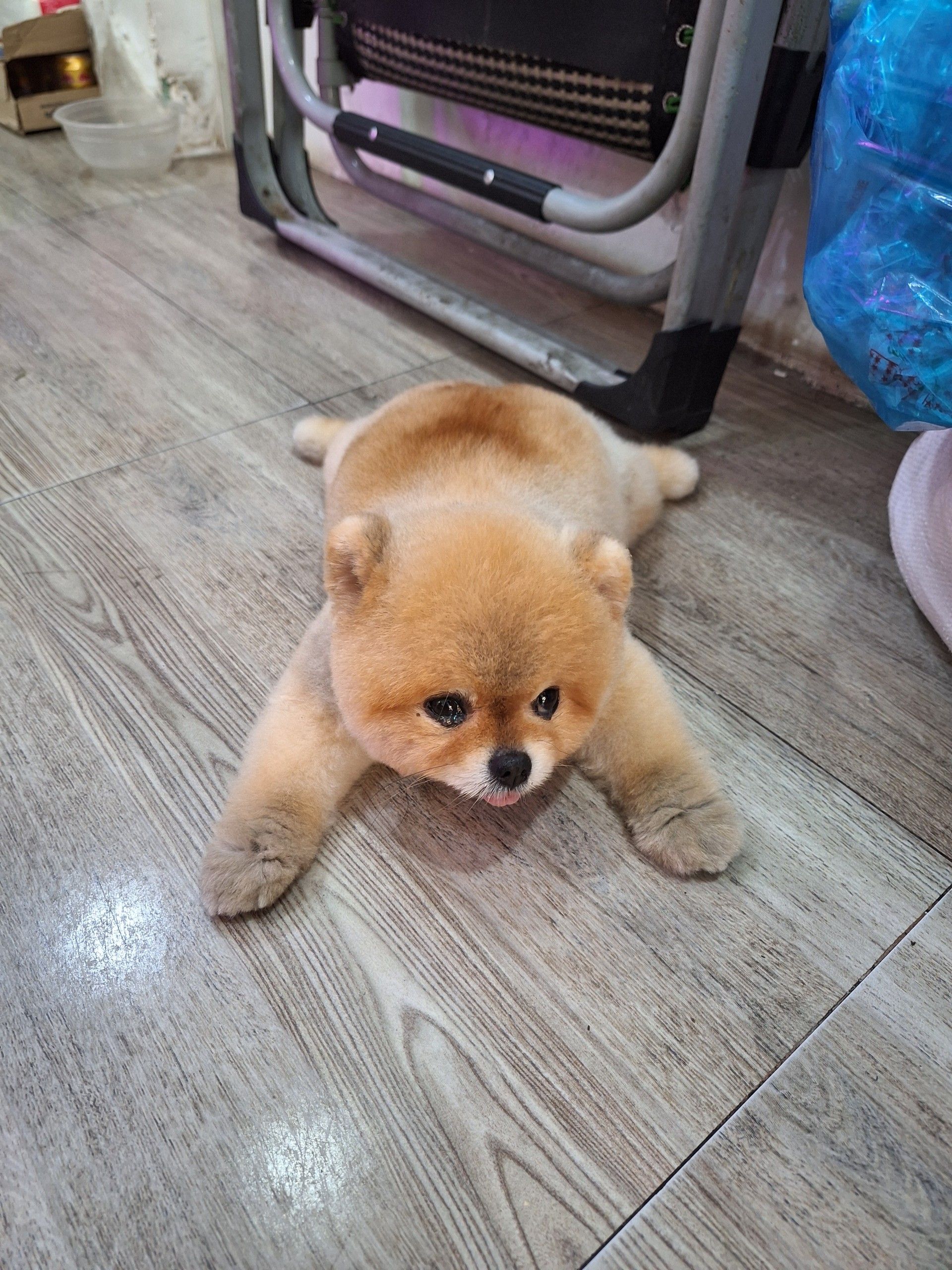 User Profile Picture