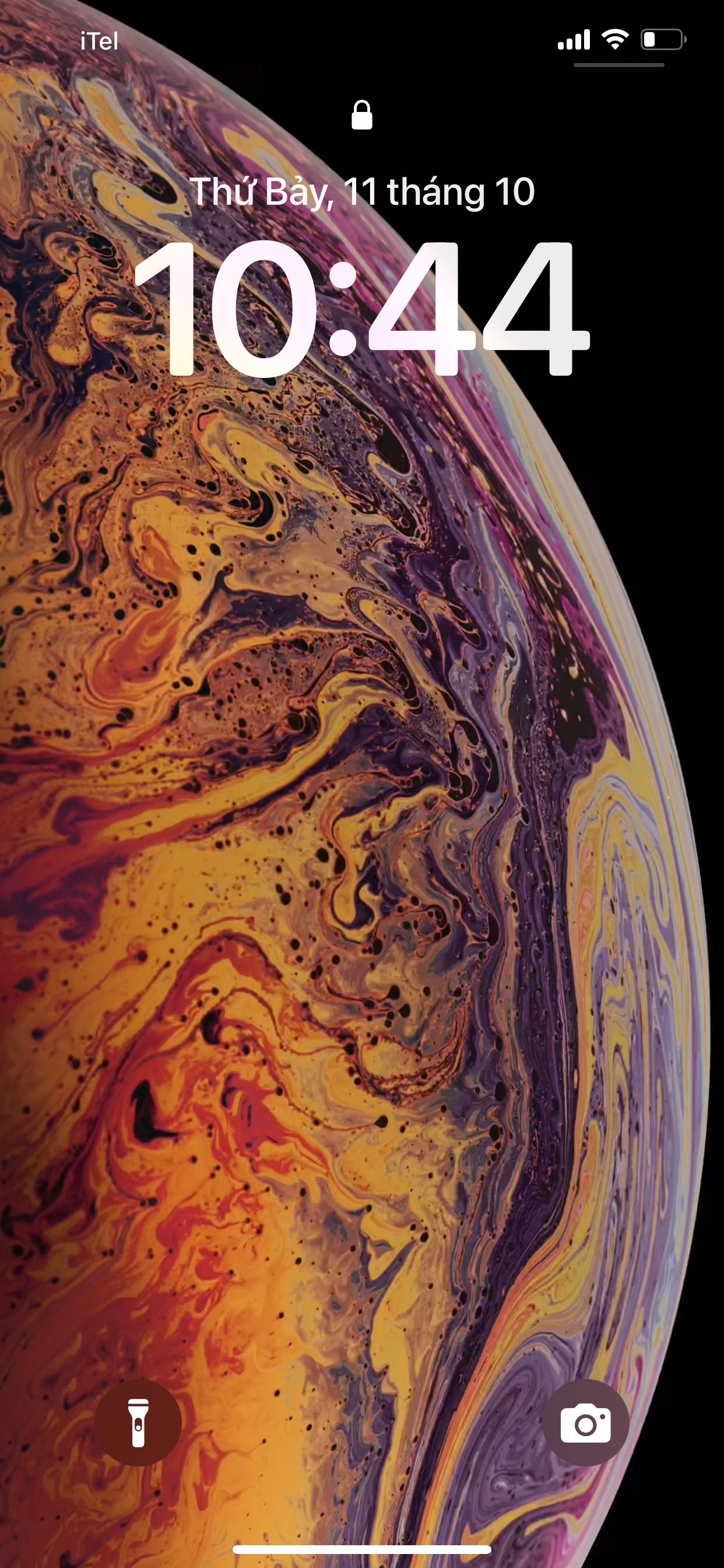 User Profile Picture