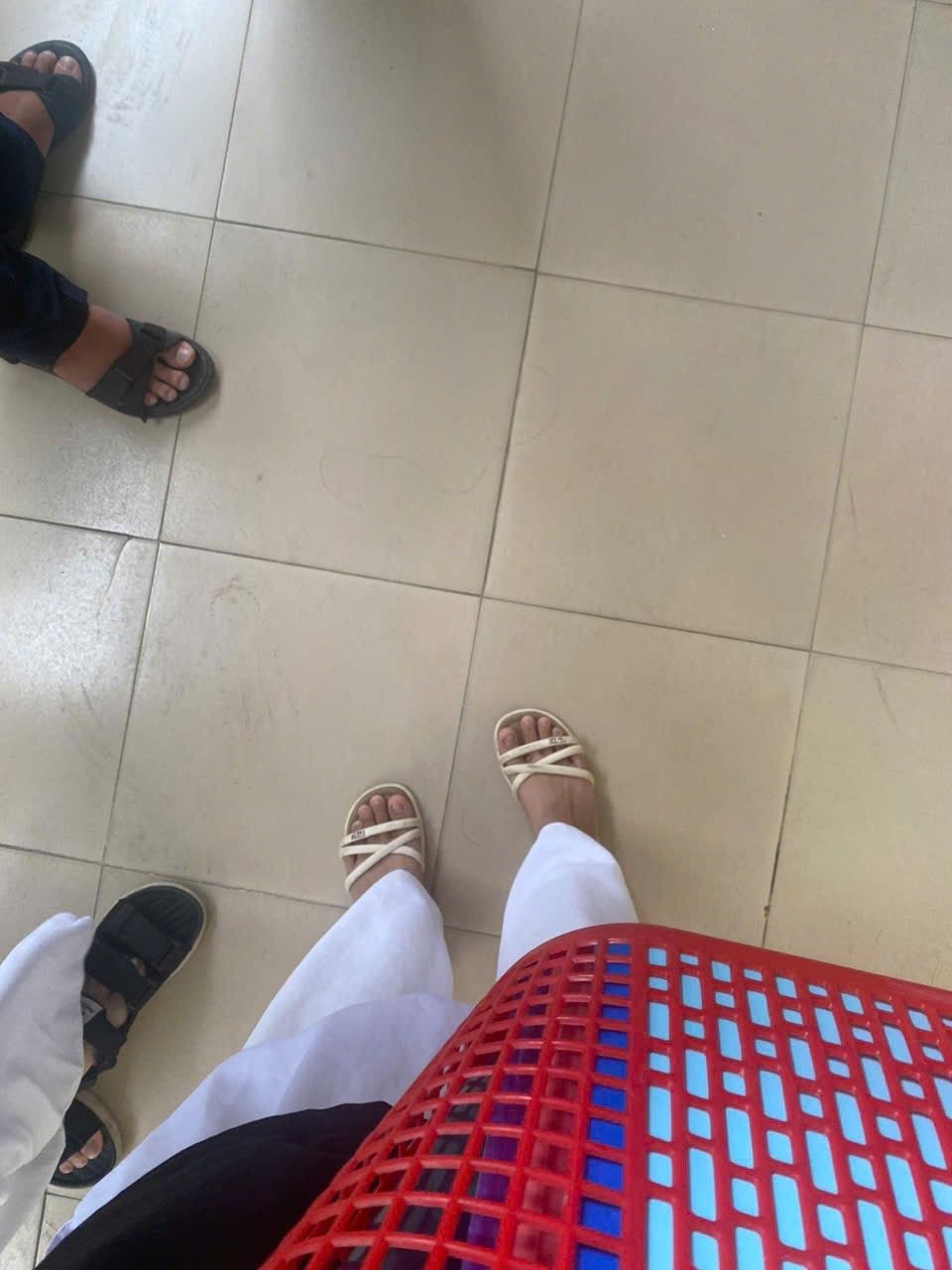 User Profile Picture