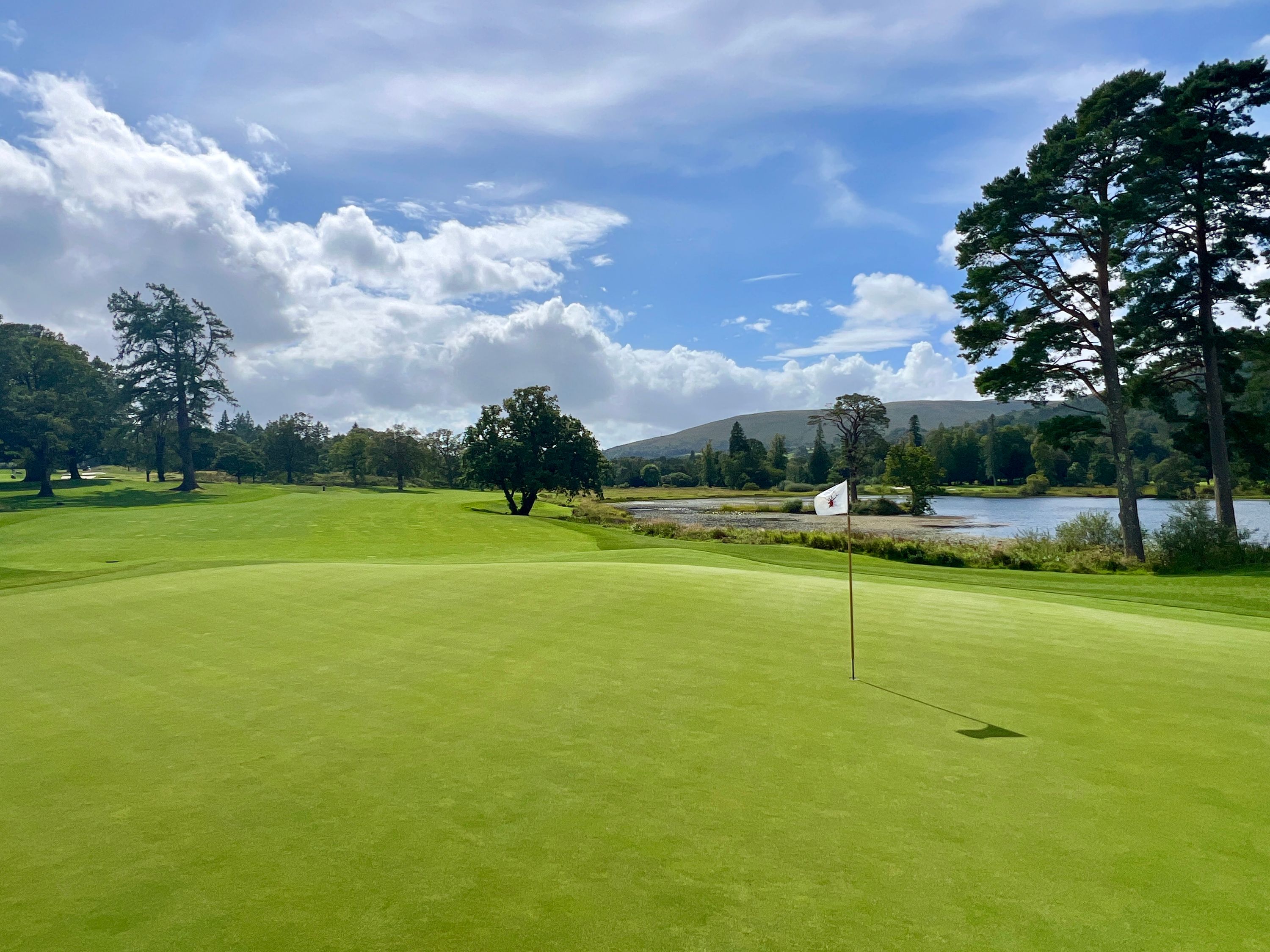 Dino Canepa Cover Picture