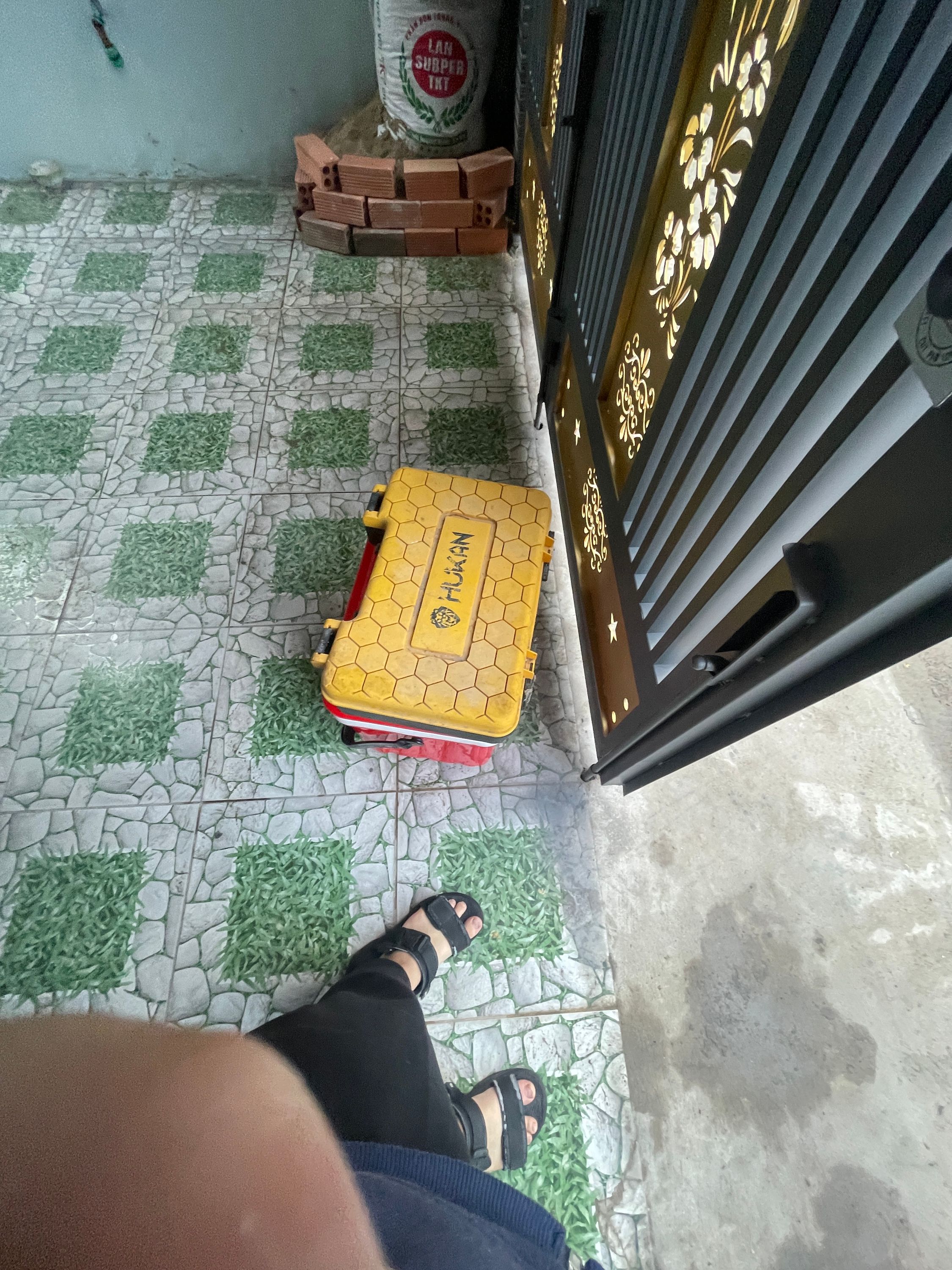 User Profile Picture