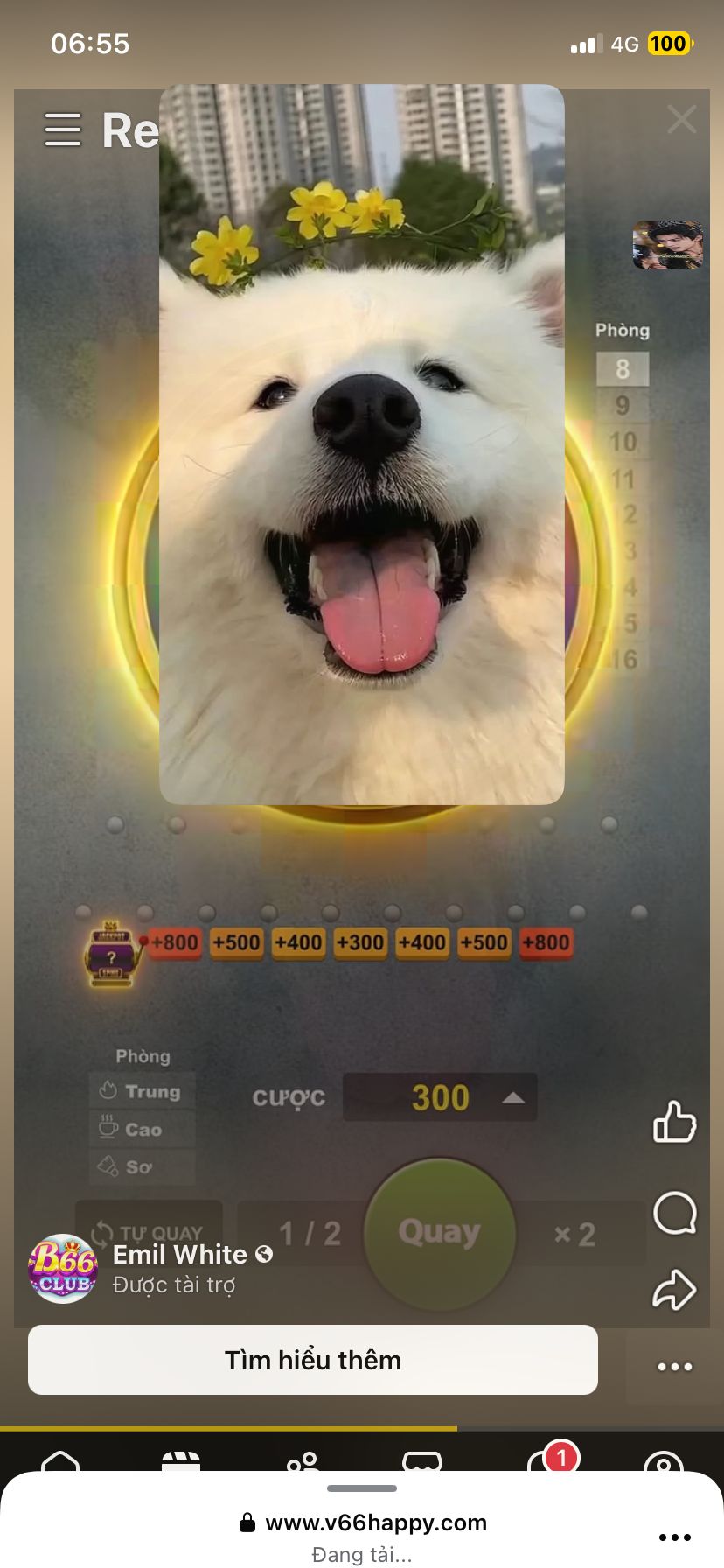 User Profile Picture