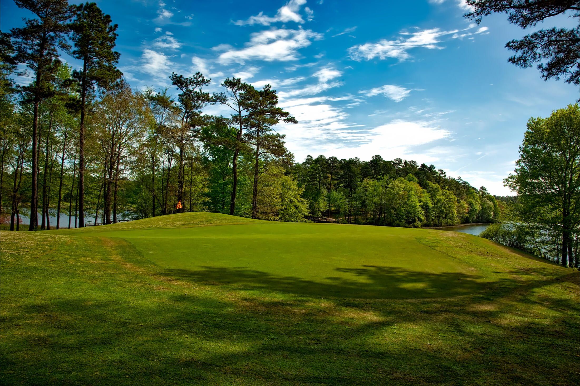 Perdue Oasis Golf cover picture