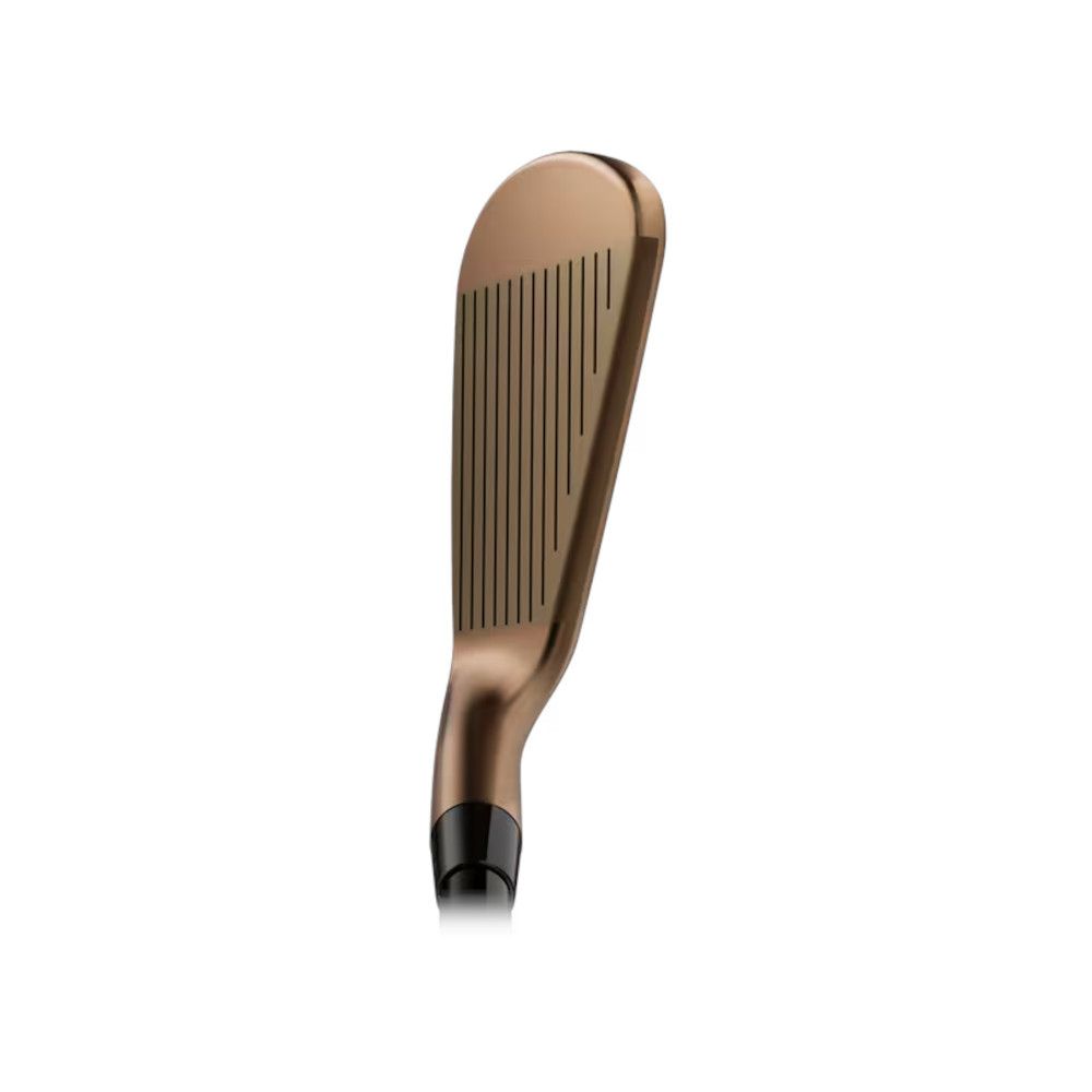 Irons T250 - Oil Can Titleist Picture