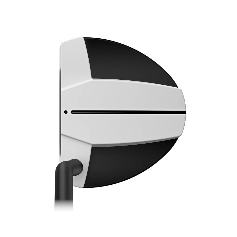 Putter Scottsdale TEC Hayden Ping Golf Picture