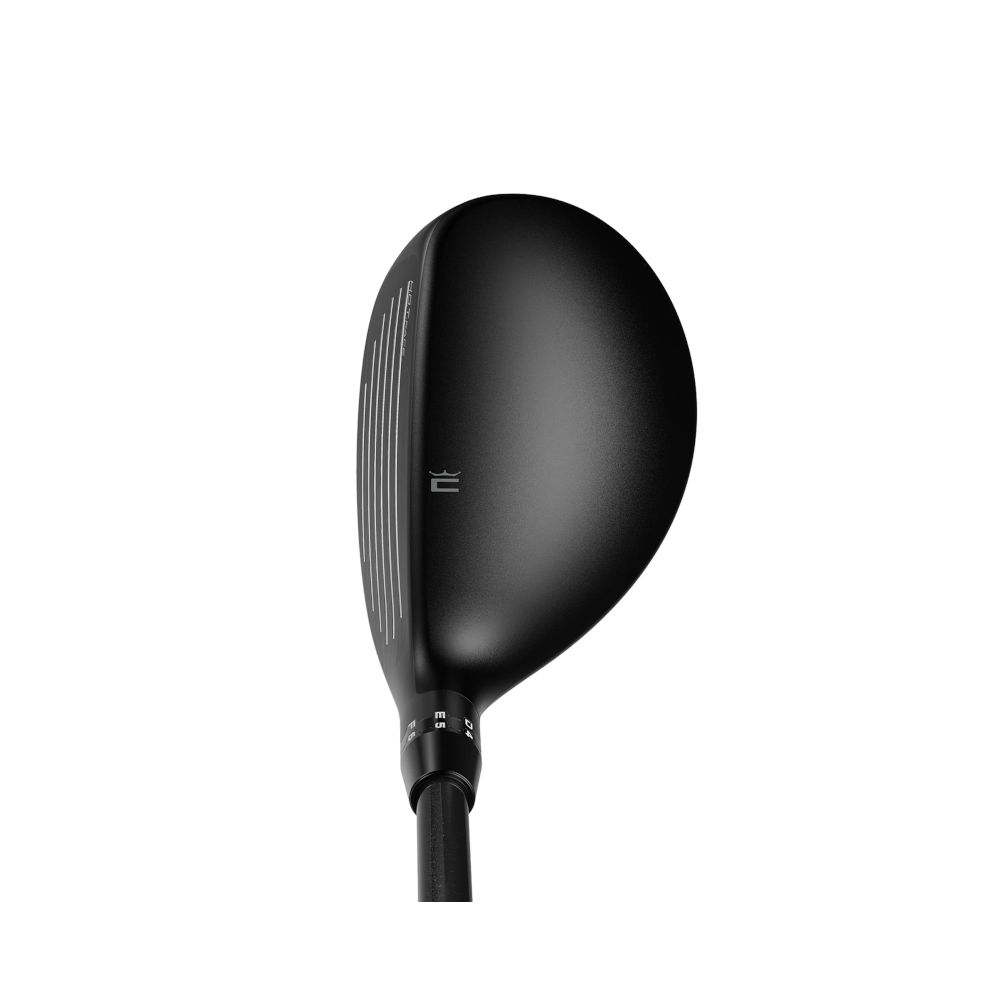 Hybrid OPTM Cobra Golf Picture