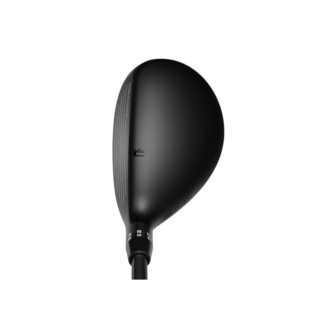 Hybrid DS-ADAPT Cobra Golf Picture