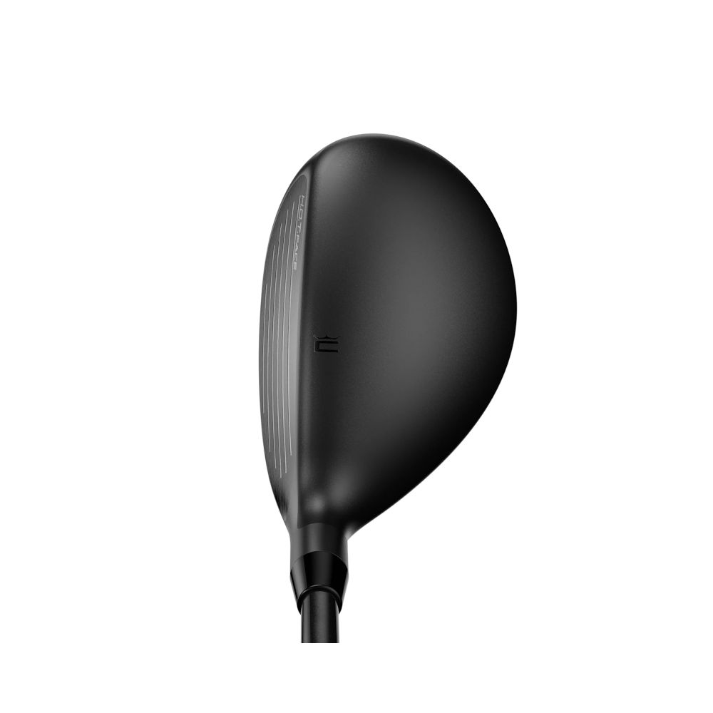 Hybrid DARKSPEED Cobra Golf Picture