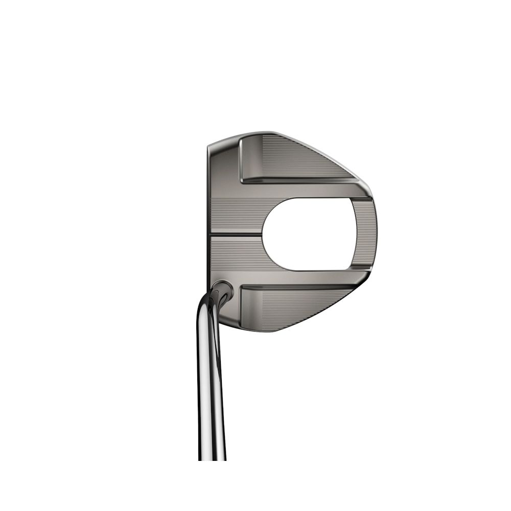 Putter MIM Camino Cobra Golf Picture