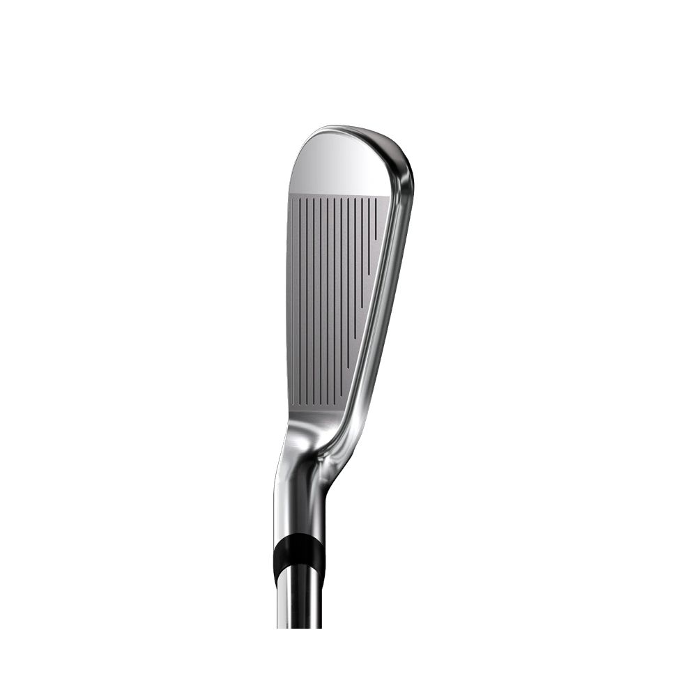 Irons 0311P GEN8 - Chrome PXG Picture