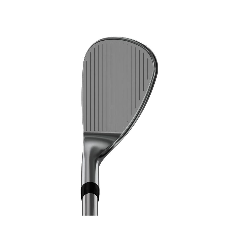 Wedge Stick'em - Chrome PXG Picture