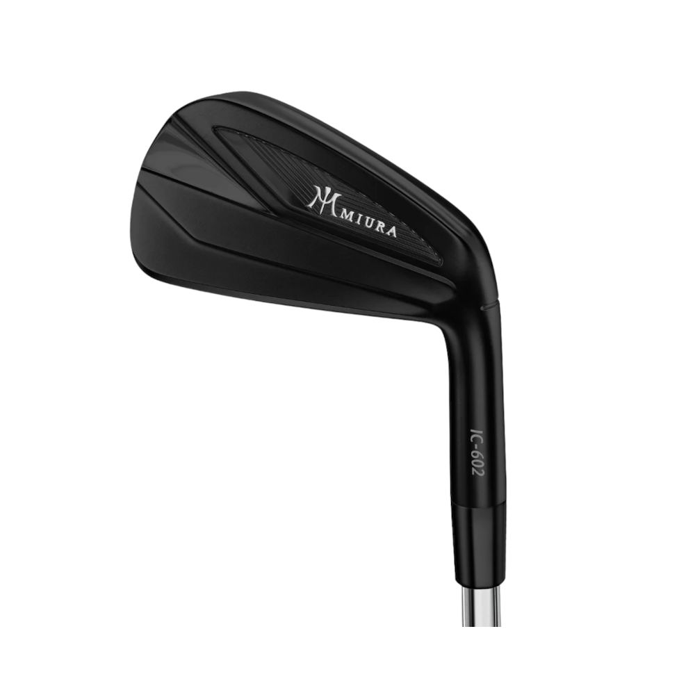 Irons IC-602 Black IP Miura Picture
