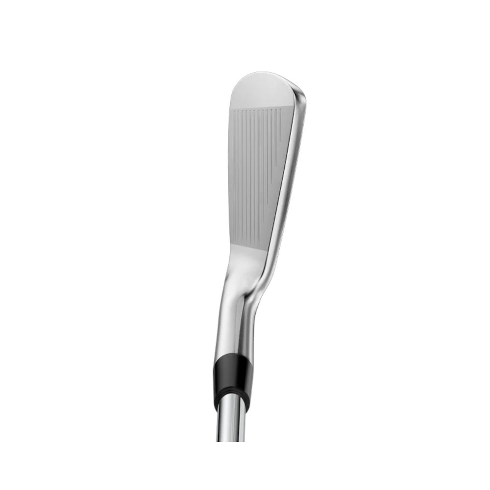 Irons CB-302 Miura Picture