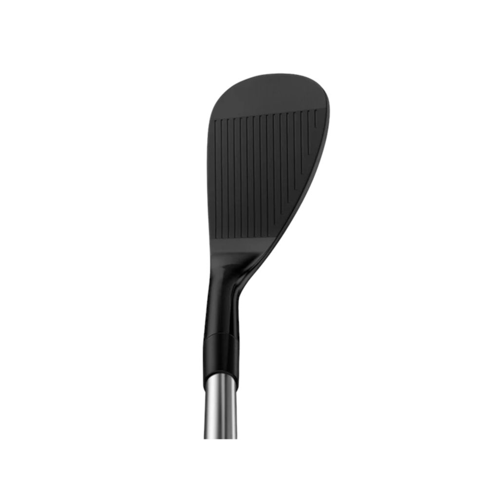 Wedge Forged Wedge Series QPQ Miura Picture