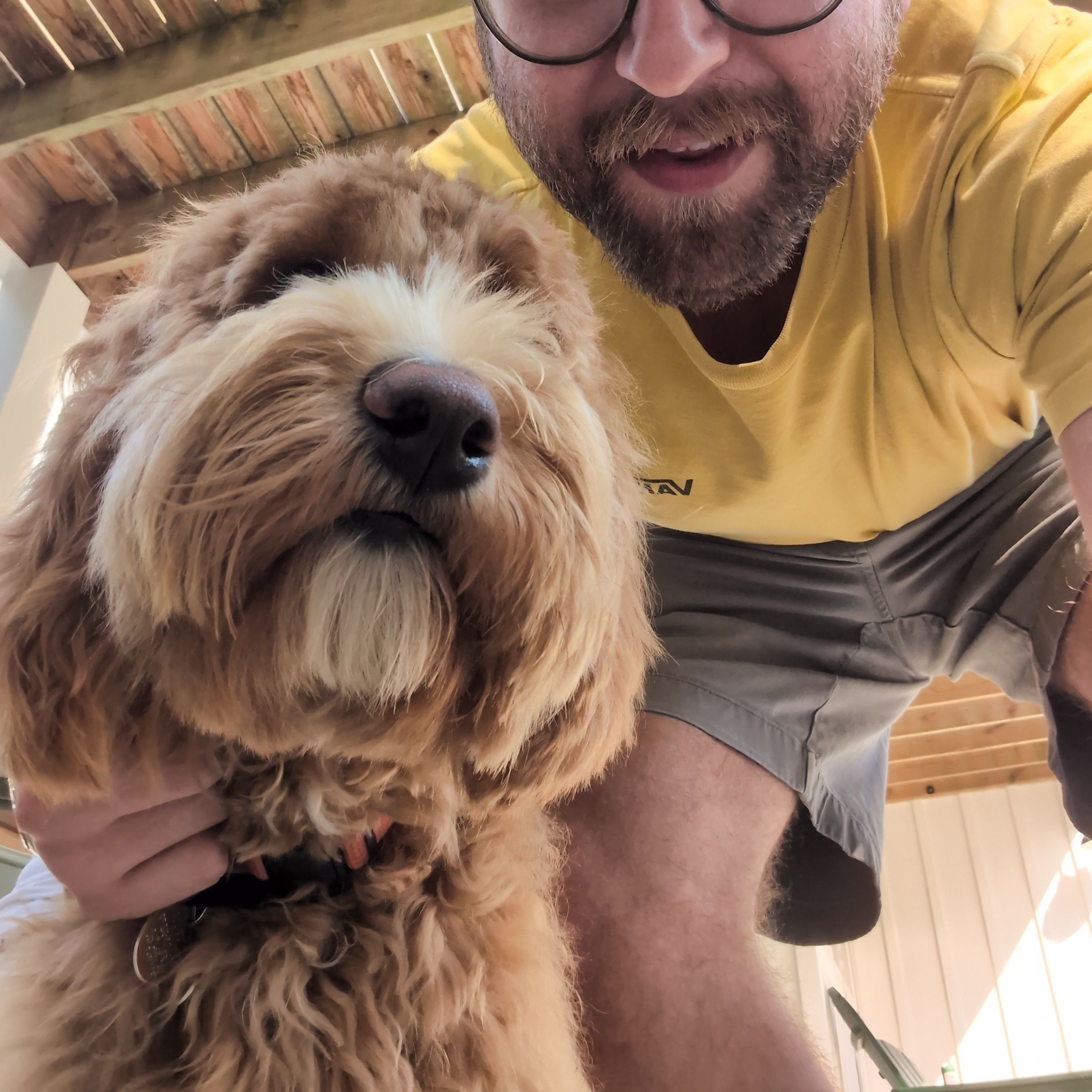 User Profile Picture