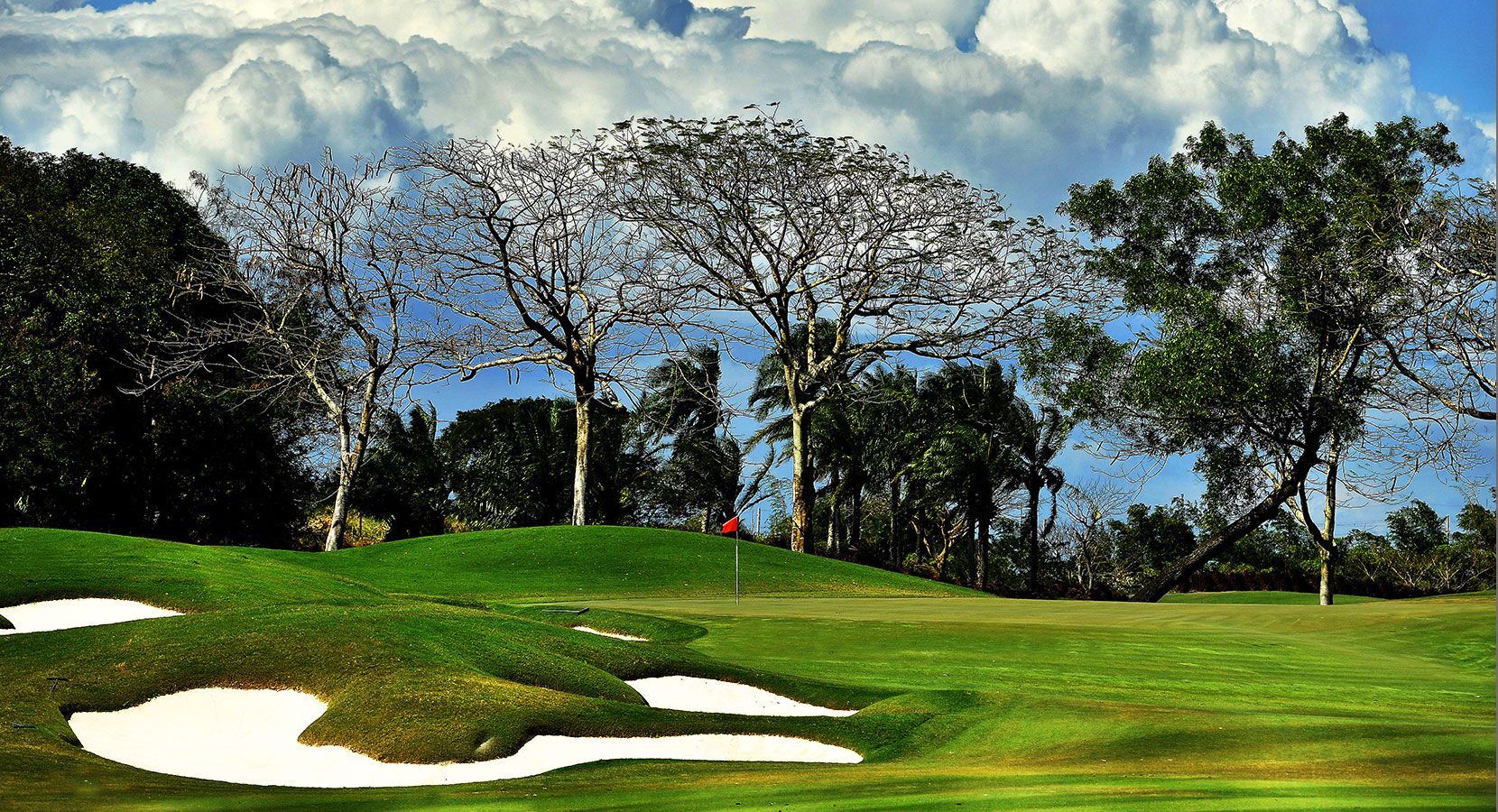 The Country Club cover picture