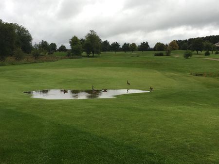 Kikuoka golf and country club post image